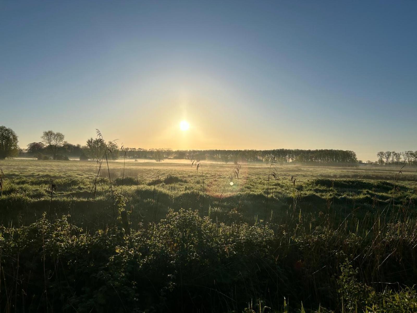 De Levensboom - Het Oud Gemeentehuis Damme Extérieur photo